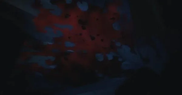 暴风截屏20080521212235