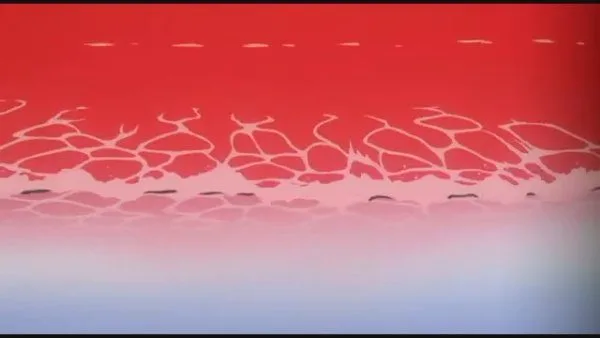 暴风截屏20080705224726